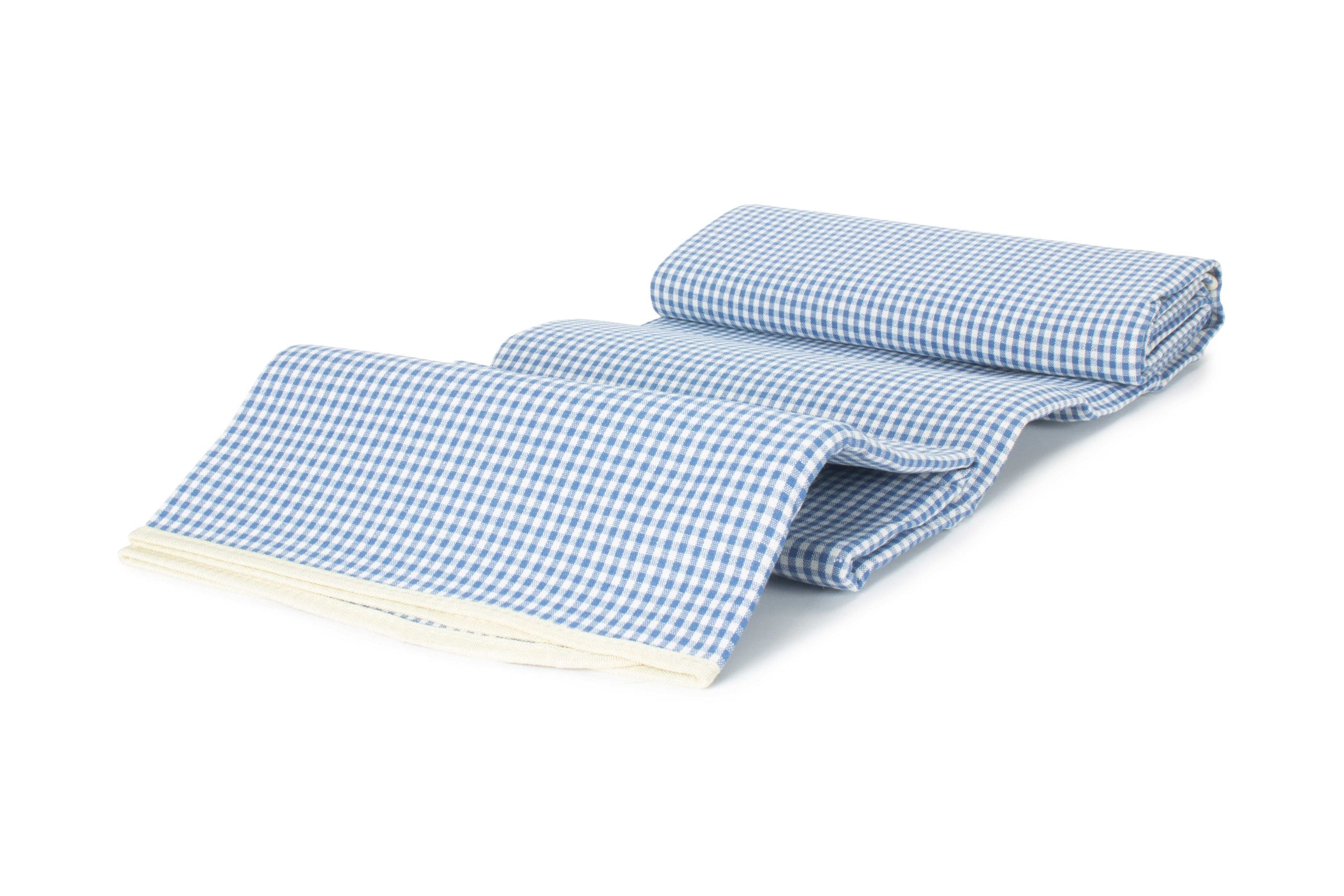 Picnic Blanket - Blue Gingham