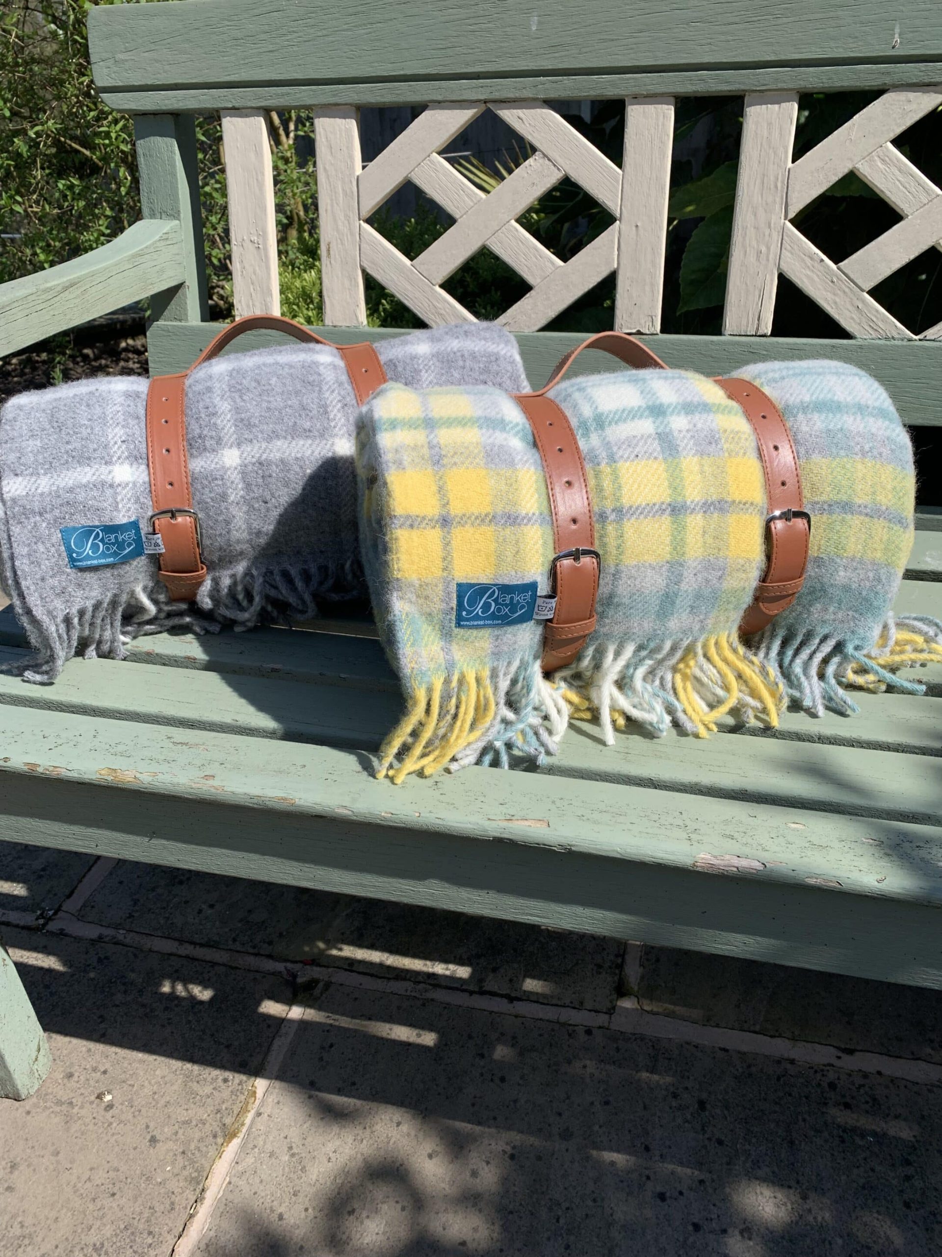 Blanket Carry Strap