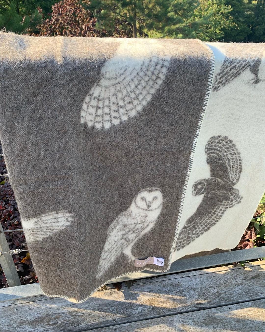 Barn Owl Throw