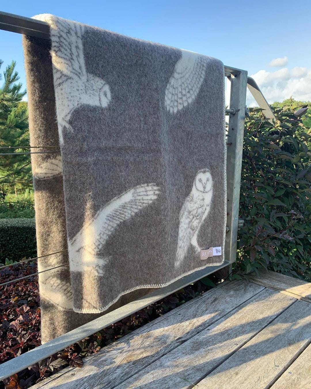 Barn Owl Throw