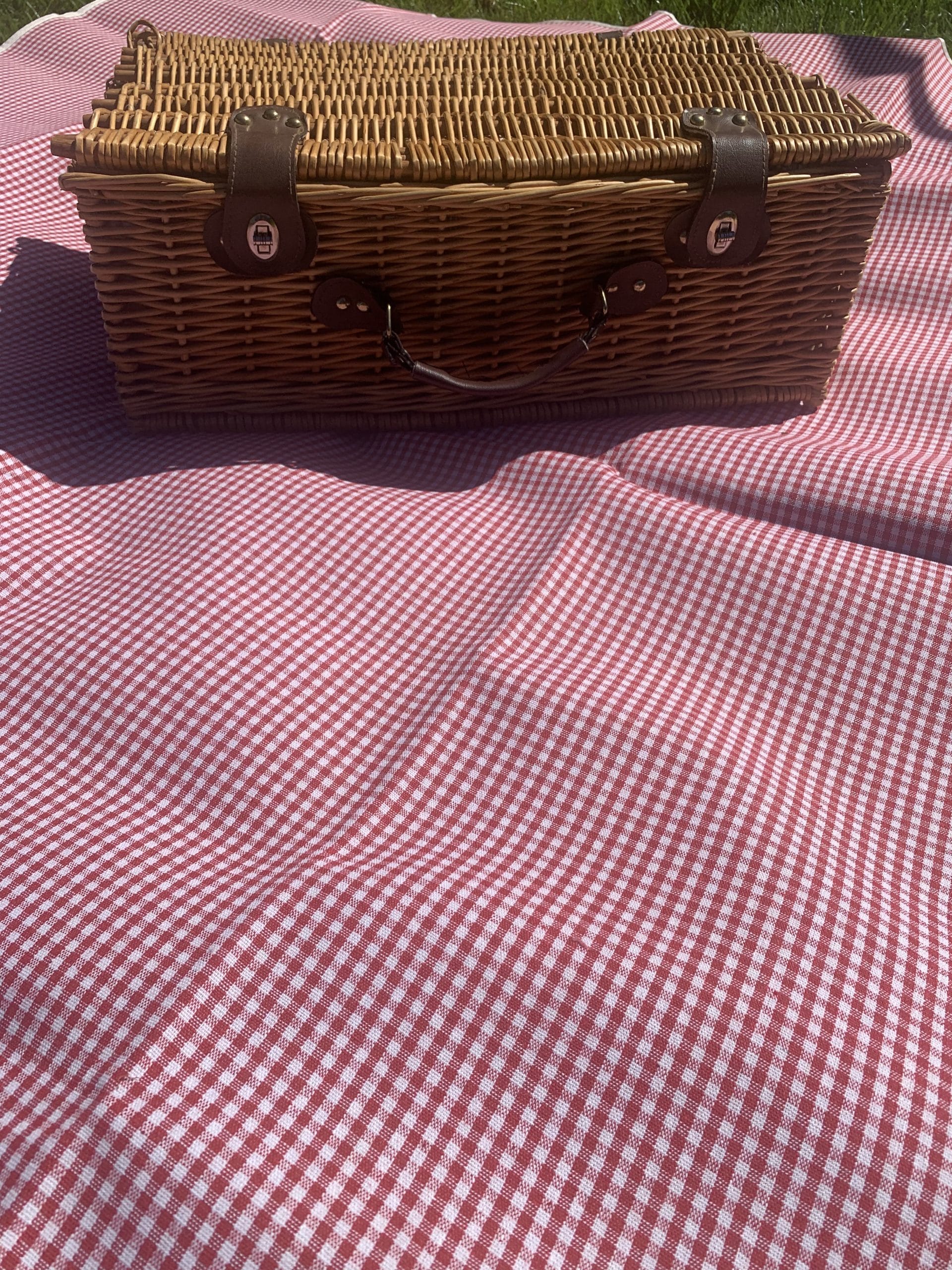 Picnic Blanket - Red Gingham